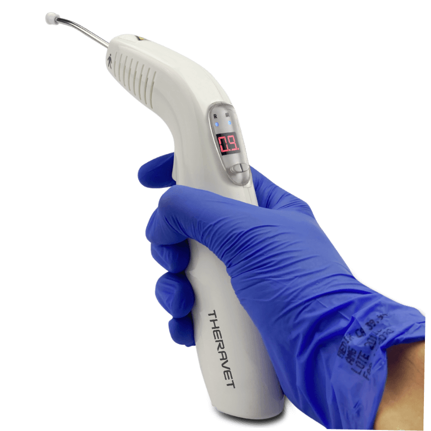 Theravet 2